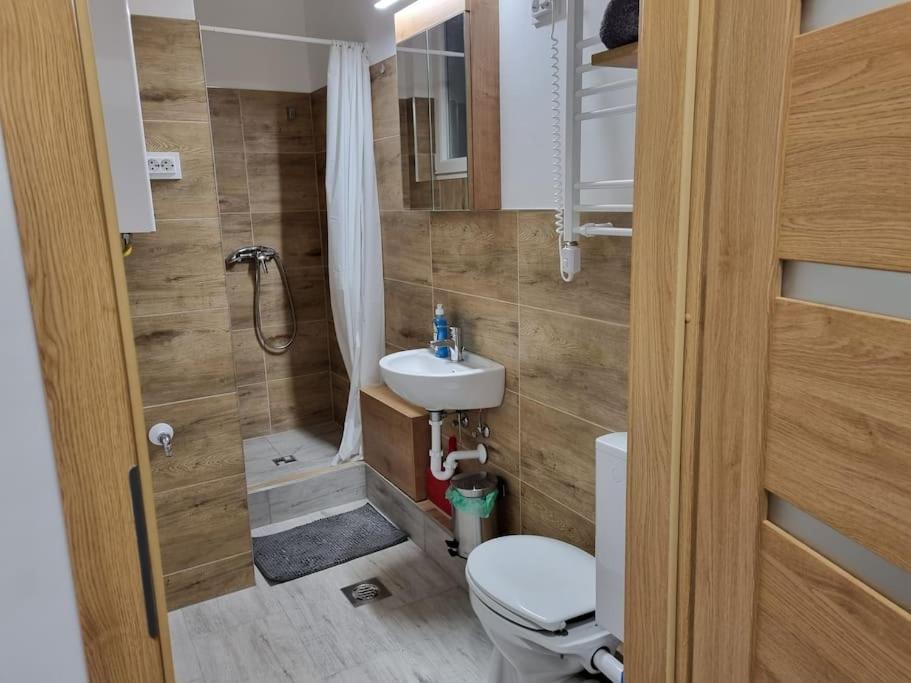 Downtown Studio Apartman Pécs Esterno foto